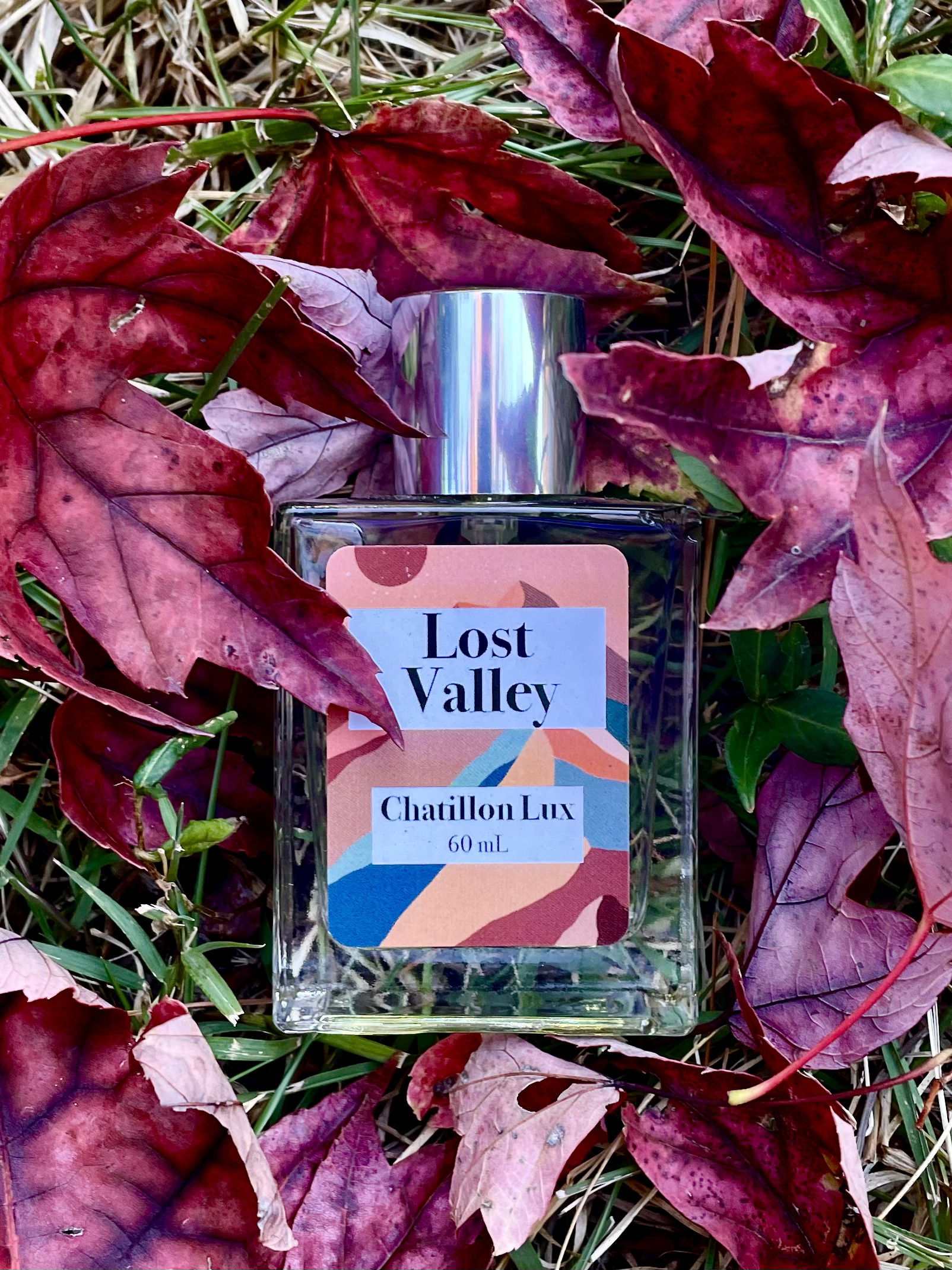 Nature Notes .SCENTS OF THE WORLD THE 〜 hq720.jpg?sqp=-